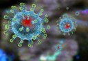 Меры в ситуации распространения коронавируса