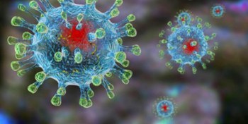 Меры в ситуации распространения коронавируса