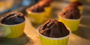 Пир Экспо 2025