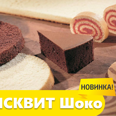 Зи-бисквит ШОКО